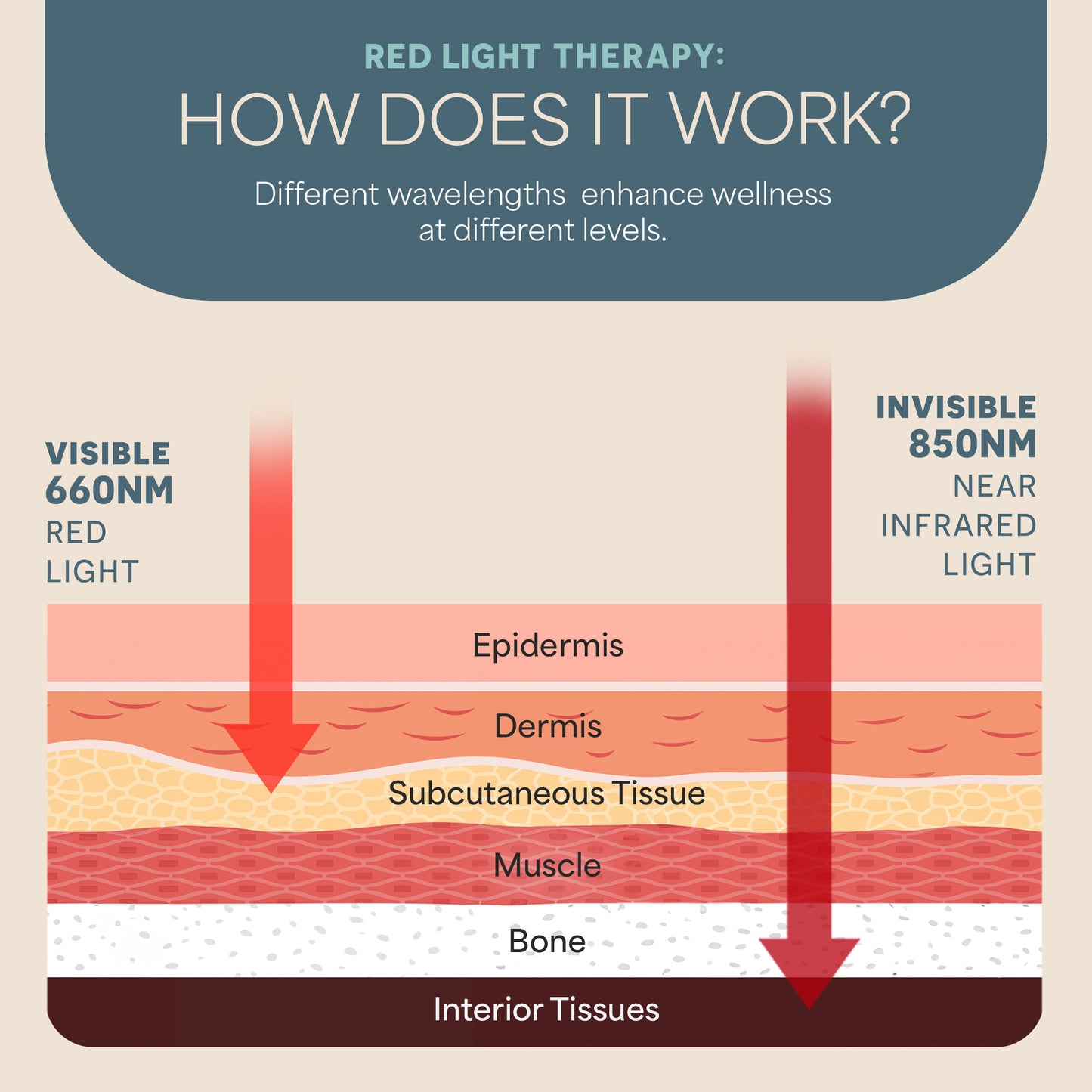 BioHeal Red Light Panel