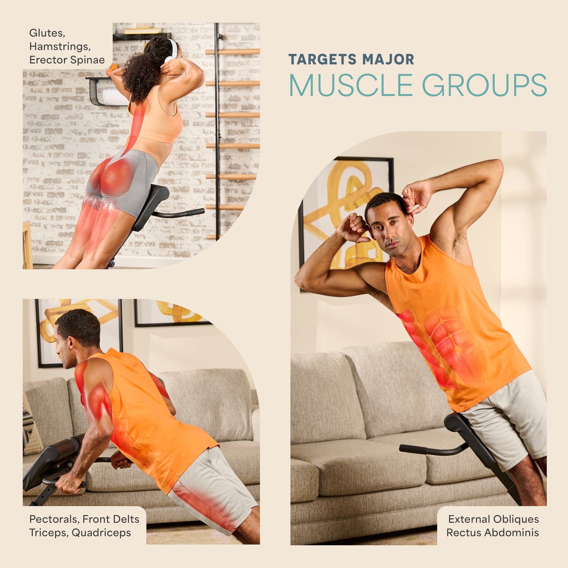 SculptTrainer Lite Multipurpose Roman Chair