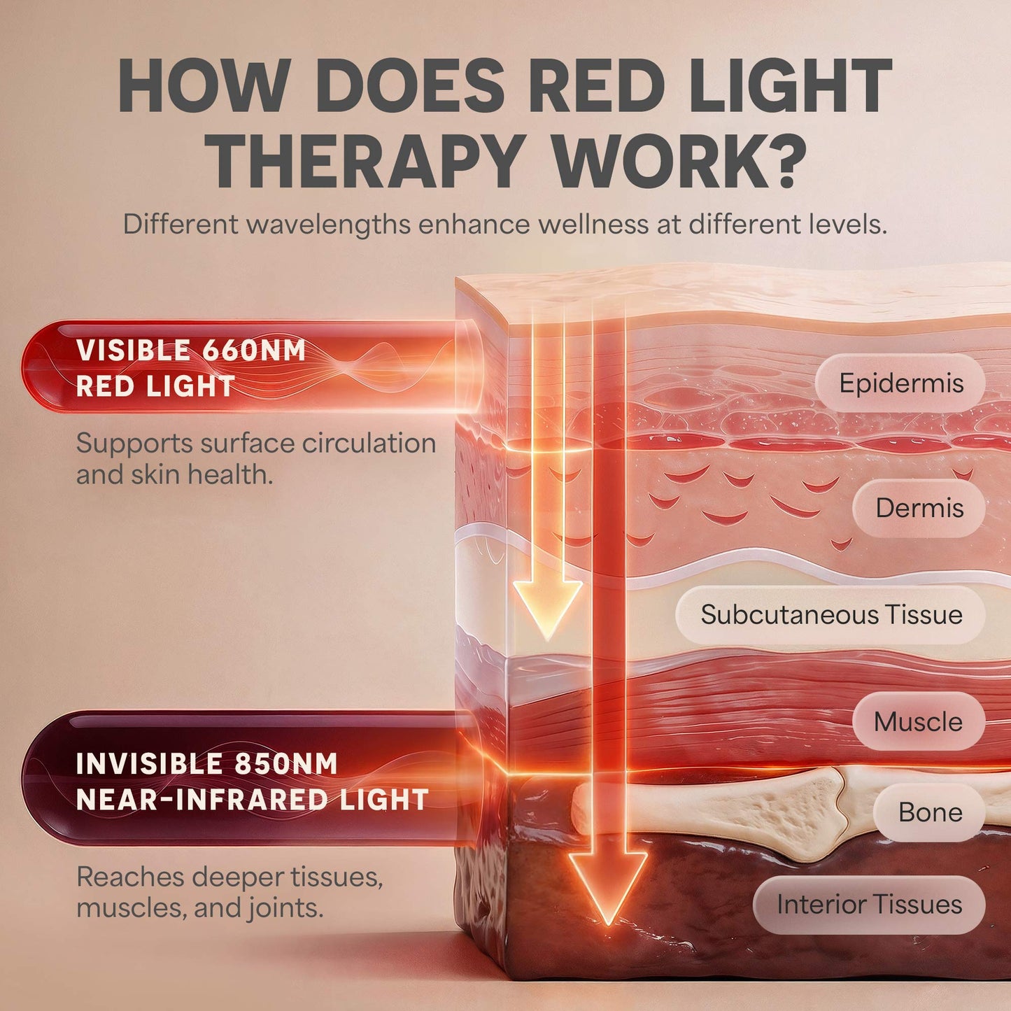 DualThera Hand Massager with Finger Stretching & Red Light Therapy
