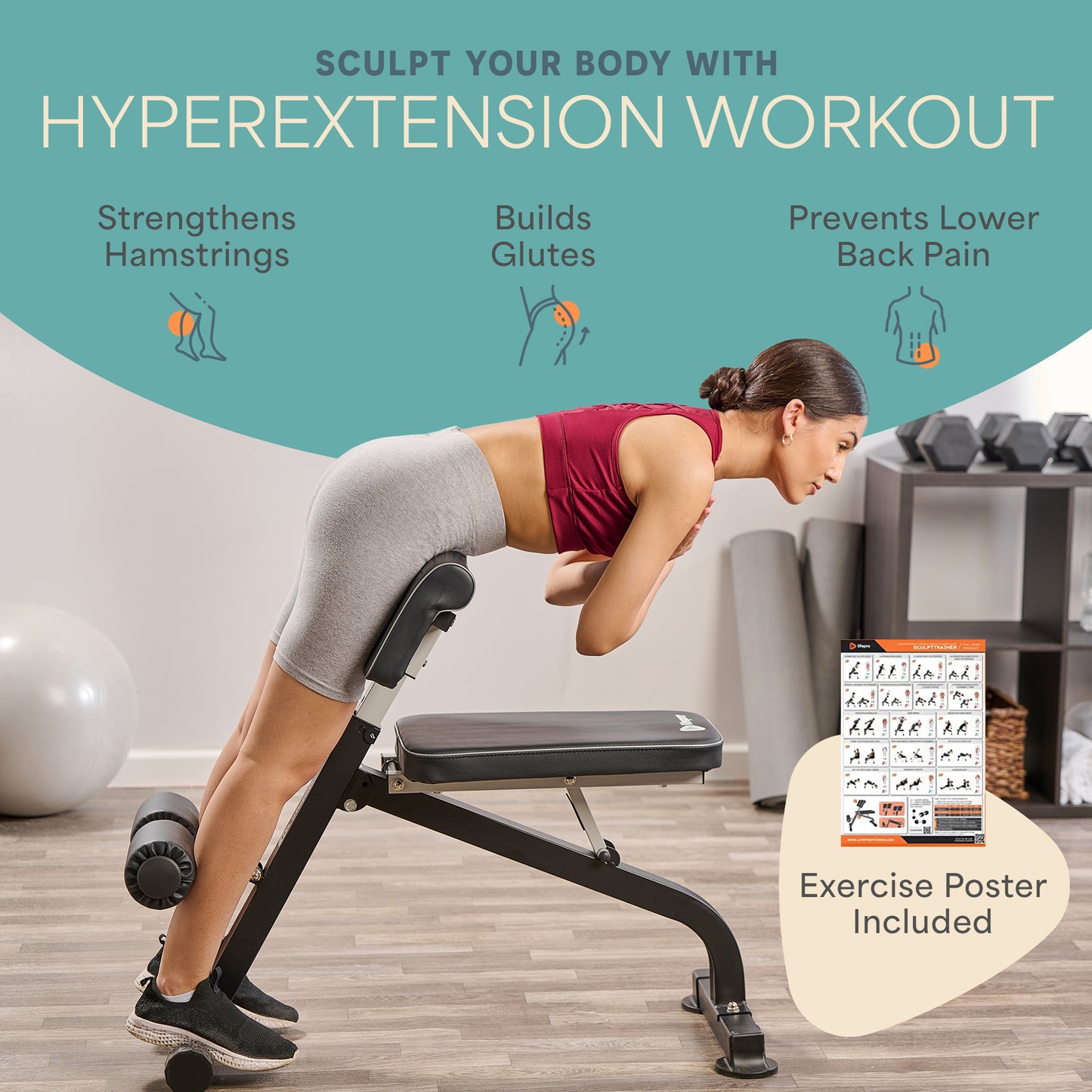 SculptTrainer™ Multipurpose Roman Chair
