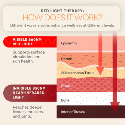 VibraRed Vibration Plate with Red Light Therapy