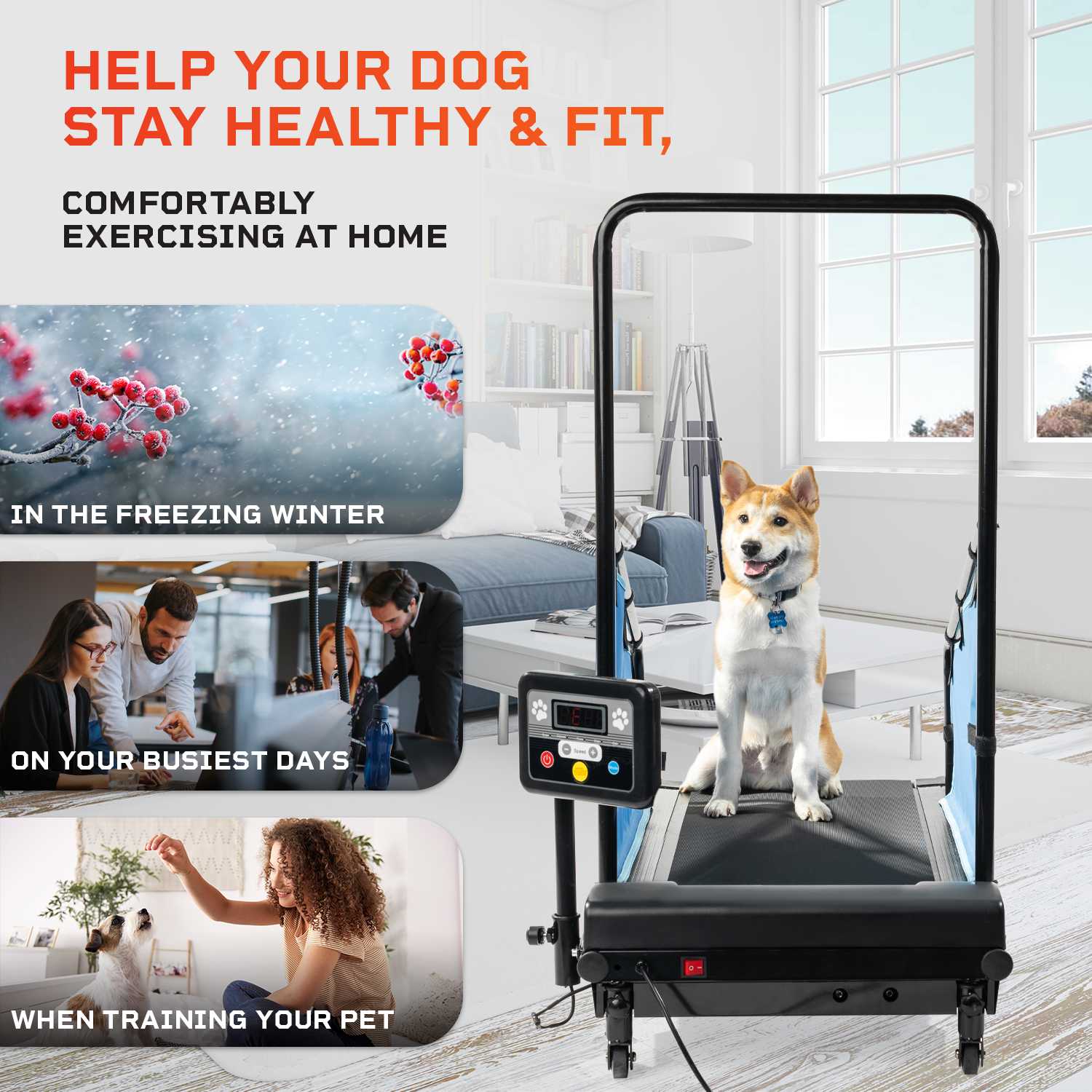Lifepro PawRunner Pet Treadmill Lifepro