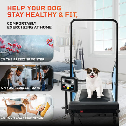 Lifepro PawRunner Pet Treadmill Lifepro