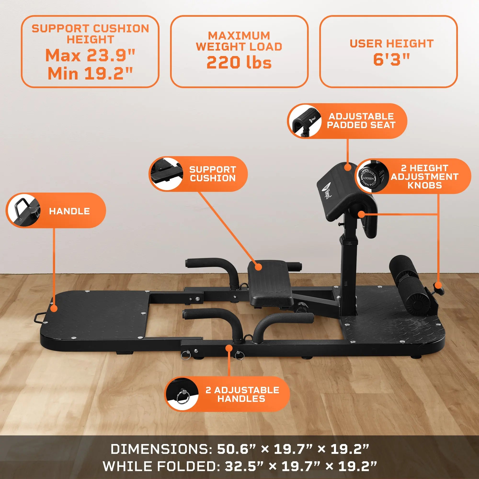 Sissy squat machine online exercises