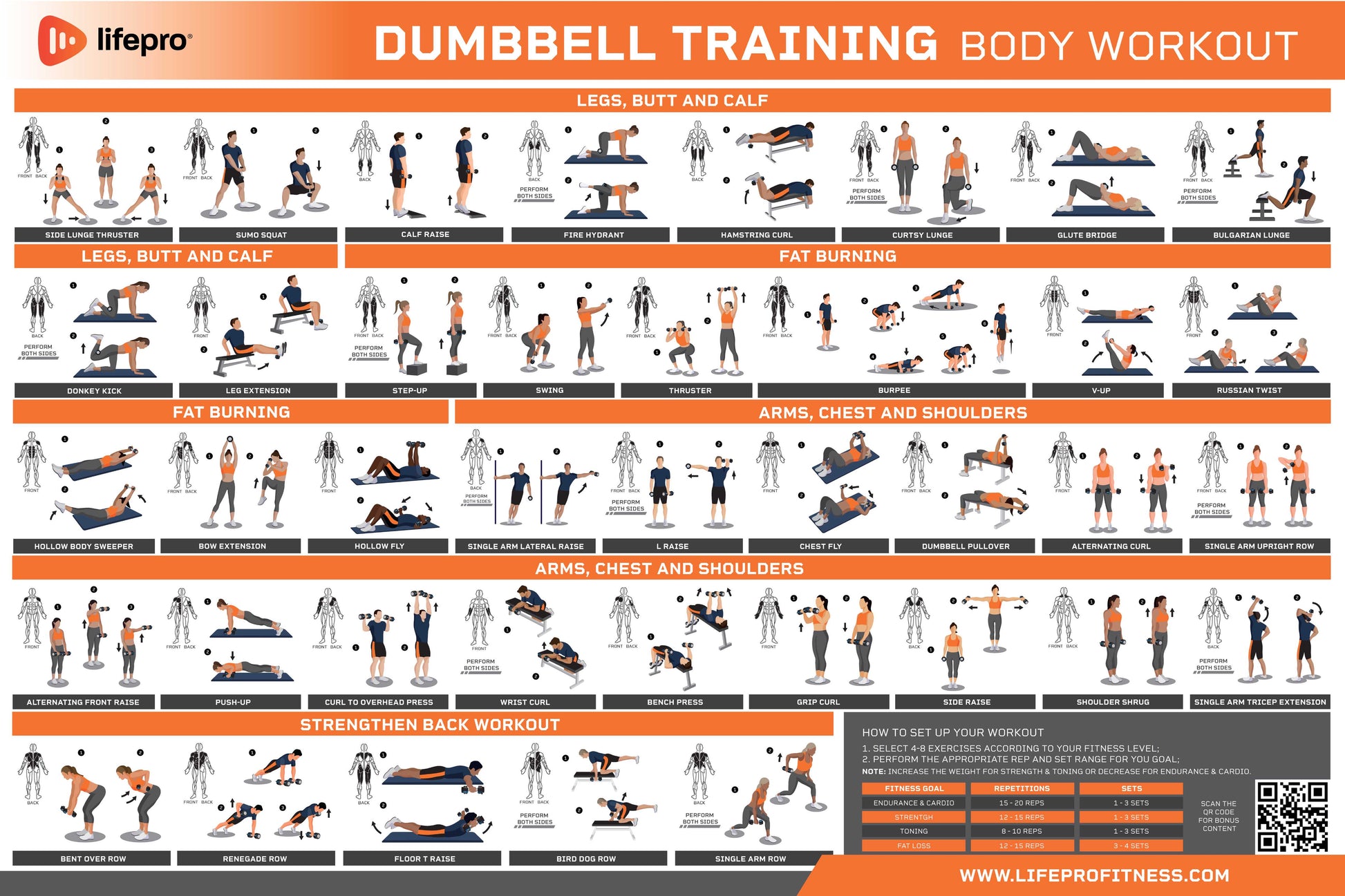 Dumbbell Workout Guide Lifepro