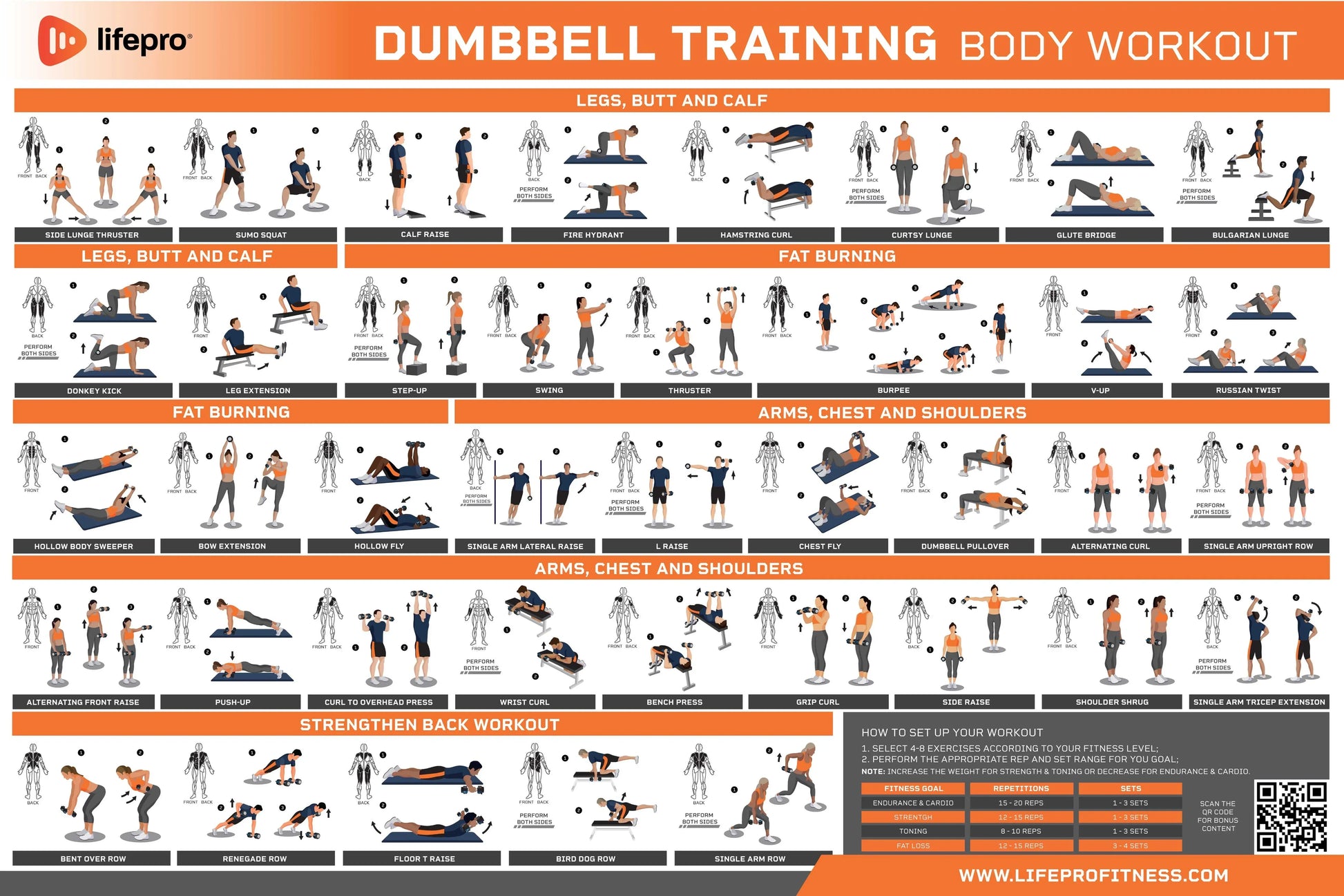 Dumbbell Workout Guide – Lifepro - Main Image