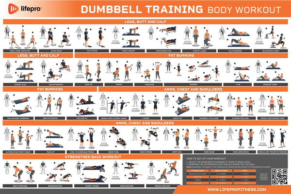 Back Fat Back Weights With Dumbbells Back Simple Dumbbell Routine